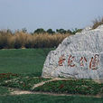 世紀公園(上海市世紀公園)