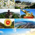 蒼溪縣