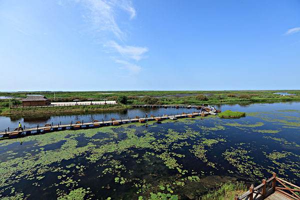 千鳥湖濕地 千鳥湖濕地