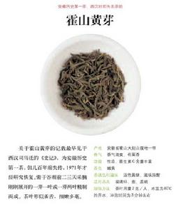 黃茶 黃茶