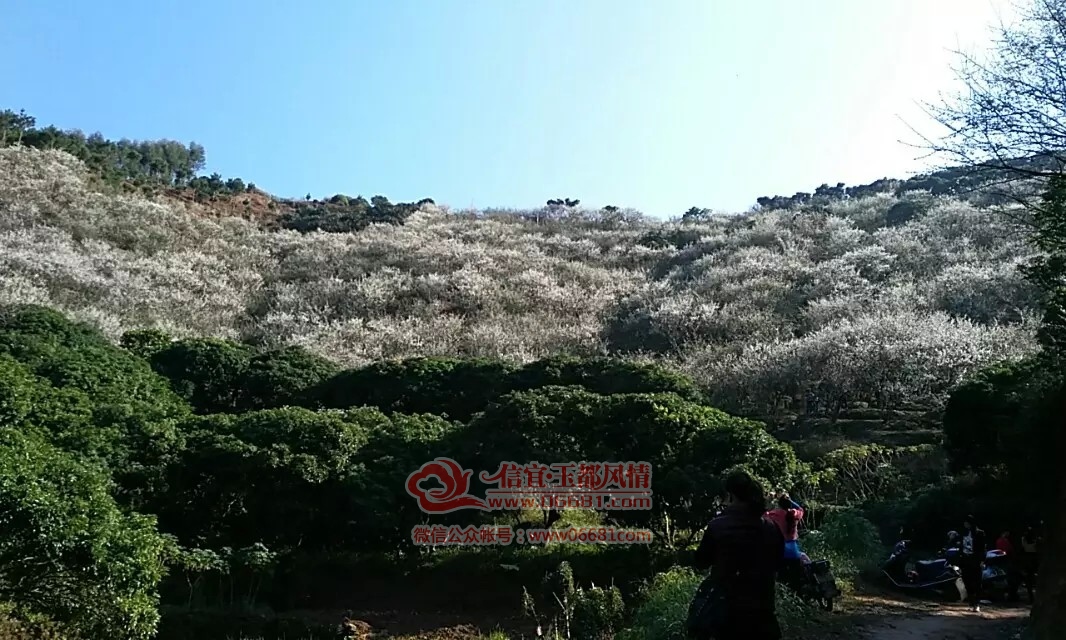 英地坡村 英地坡村