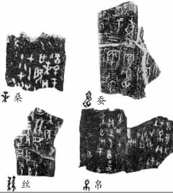 甲骨文記載 甲骨文記載