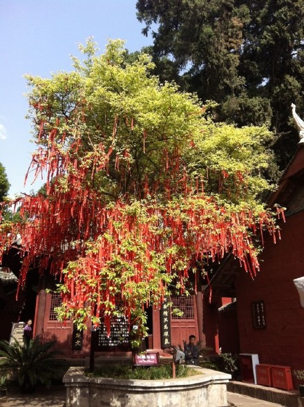 文昌廟 文昌廟