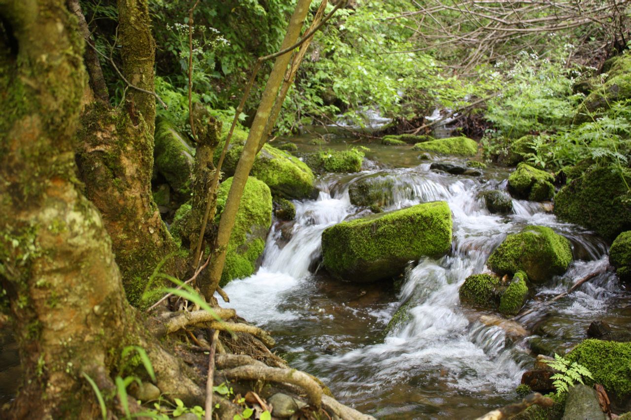 秦嶺(中國地理南北分界山脈秦嶺)