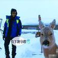 雪泥馬