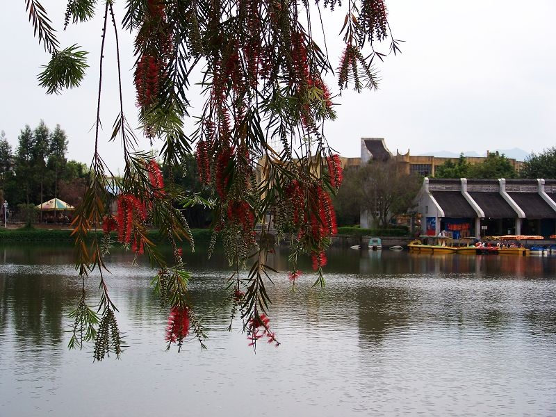 漳浦西湖公園 漳浦西湖公園