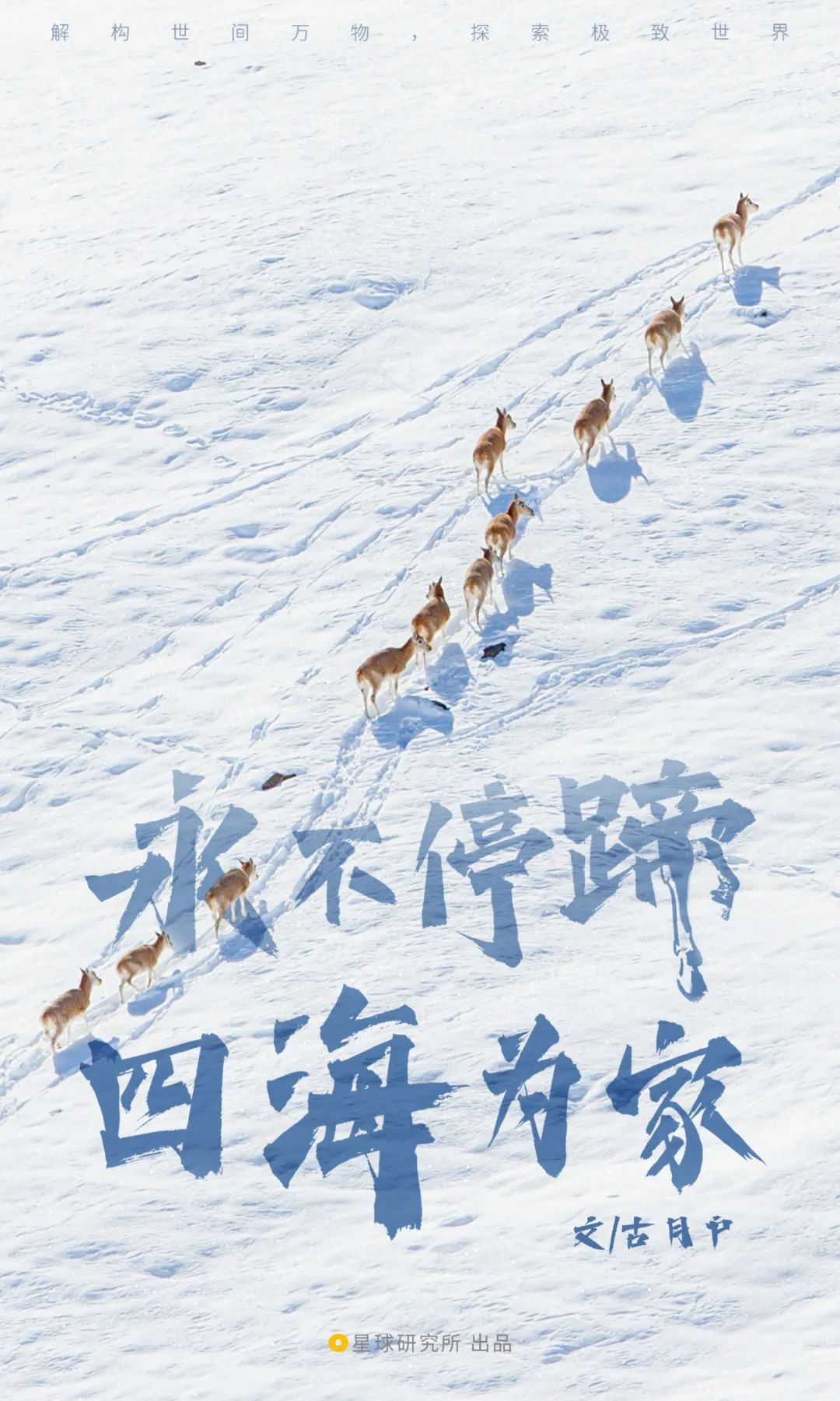 看！中國最壯麗的動物奇觀
