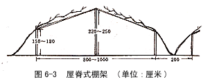 屋脊式棚架 屋脊式棚架