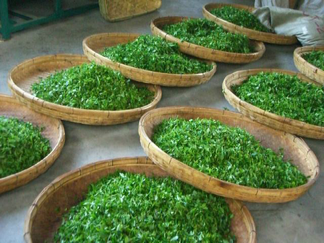 茶(中國傳統飲品)