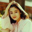 陳紅(中國大陸女演員、製片人)