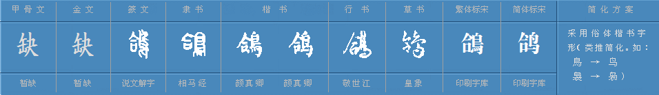 鴿子(鳩鴿科鴿屬鳥類統稱) 鴿子(鳩鴿科鴿屬鳥類統稱)