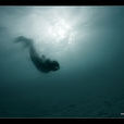 dive(英語單詞)