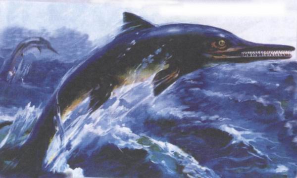 喜馬拉雅魚龍 喜馬拉雅魚龍