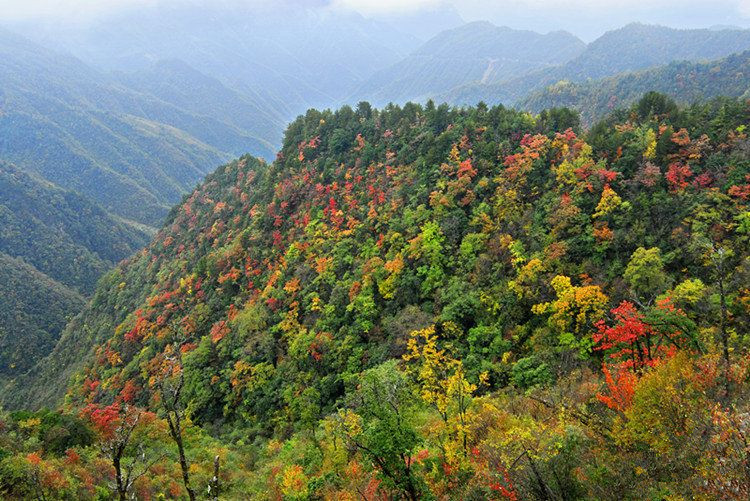 大巴山景色 大巴山景色