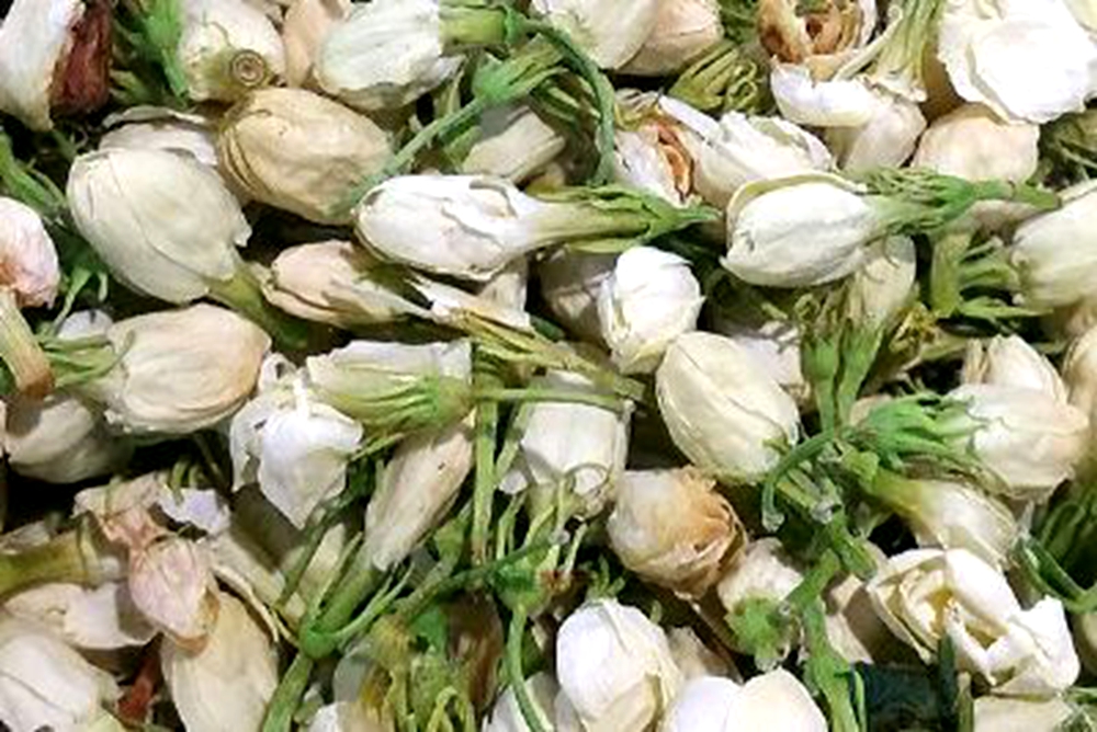 犍為茉莉花茶 犍為茉莉花茶