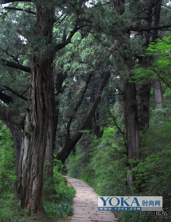 翠雲廊 翠雲廊