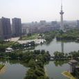 樟樹(樟樹市)