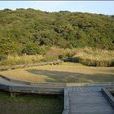 大屯自然公園