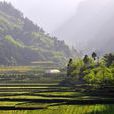 大婁山
