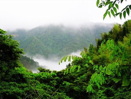 天馬山生態旅遊區 天馬山生態旅遊區