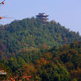 江西雲碧峰國家森林公園