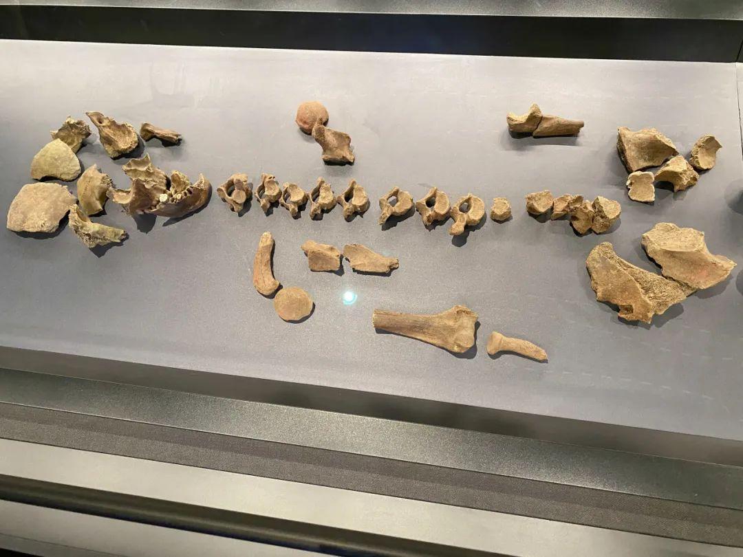 3000年前的中國首都，長什麼樣? | 地球知識局