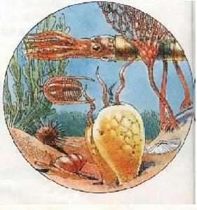 二疊紀早期生物 二疊紀早期生物