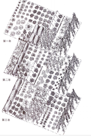 簡單的輪作圖 簡單的輪作圖