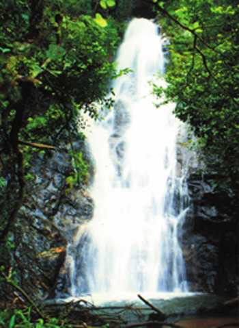 丫山龍山瀑布群 丫山龍山瀑布群