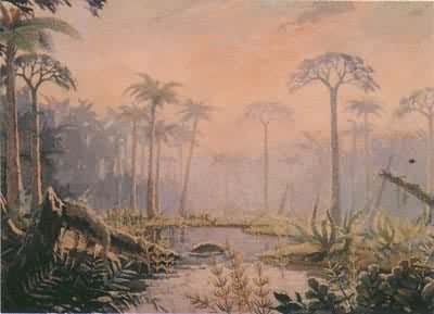 二疊紀植物群示意圖 二疊紀植物群示意圖