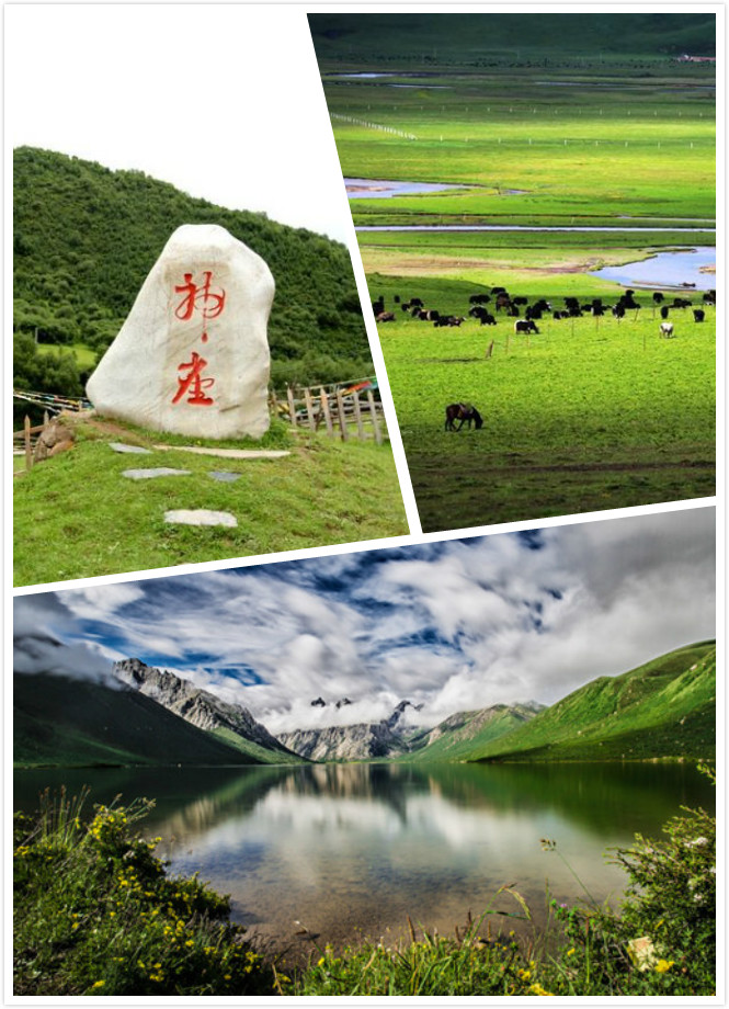 阿壩縣