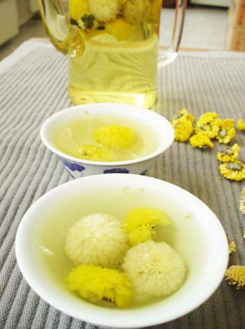 貢菊茶 貢菊茶