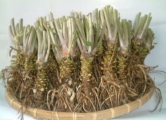 上猶縣