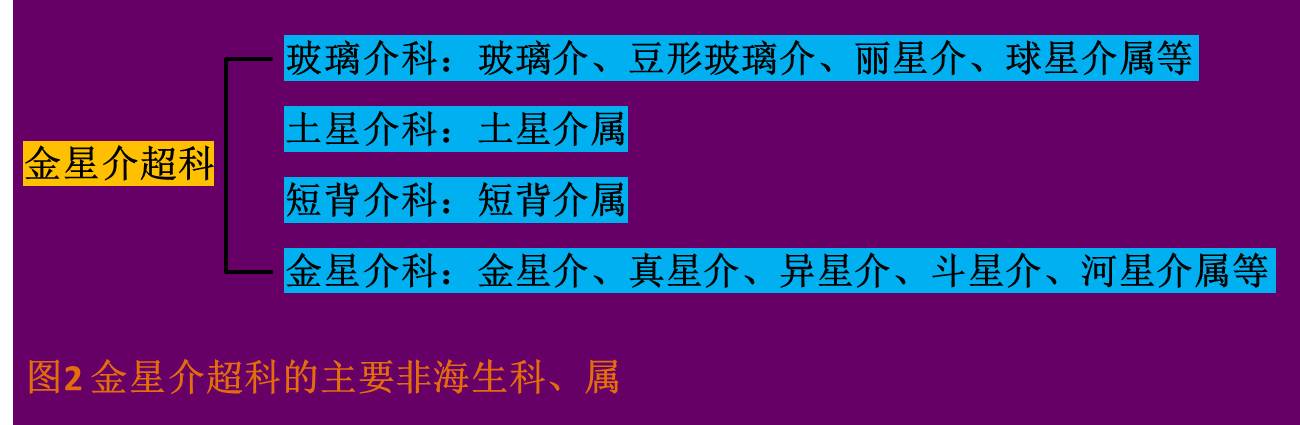 圖2 圖2