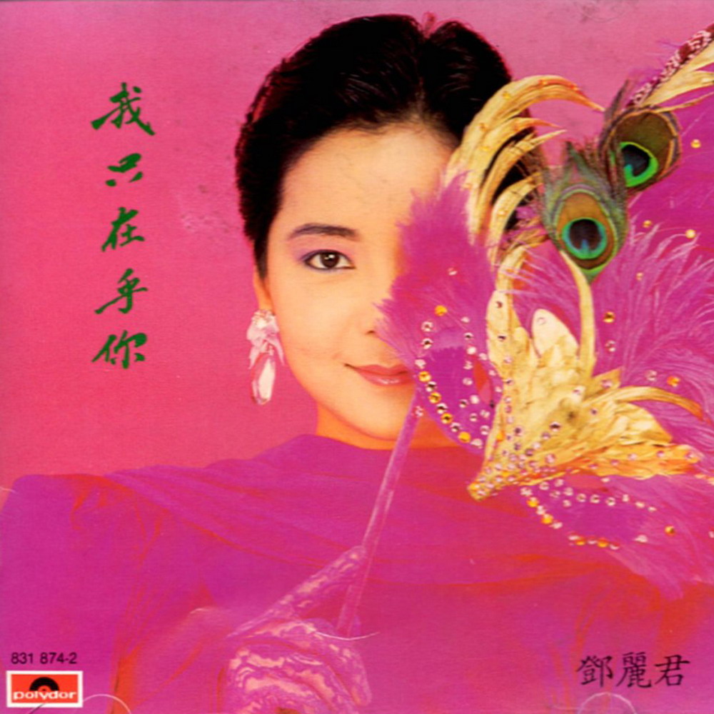 《我只在乎你》專輯封面 《我只在乎你》專輯封面