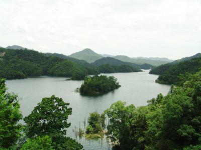 駱家坪景區 駱家坪景區