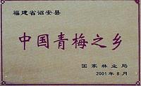 中國青梅之鄉 中國青梅之鄉