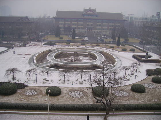 北洋大學 北洋大學