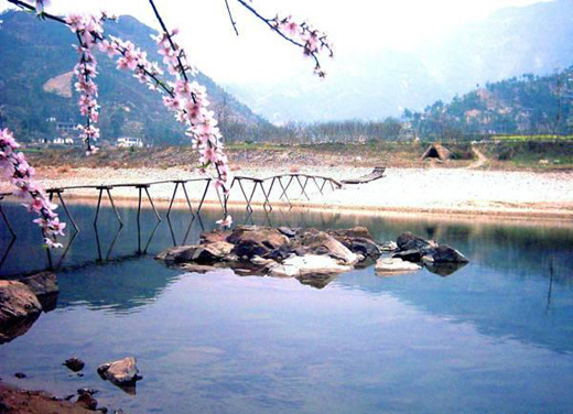 又一村 又一村