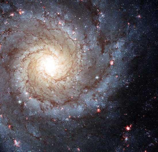 恆星(天文學辭彙)
