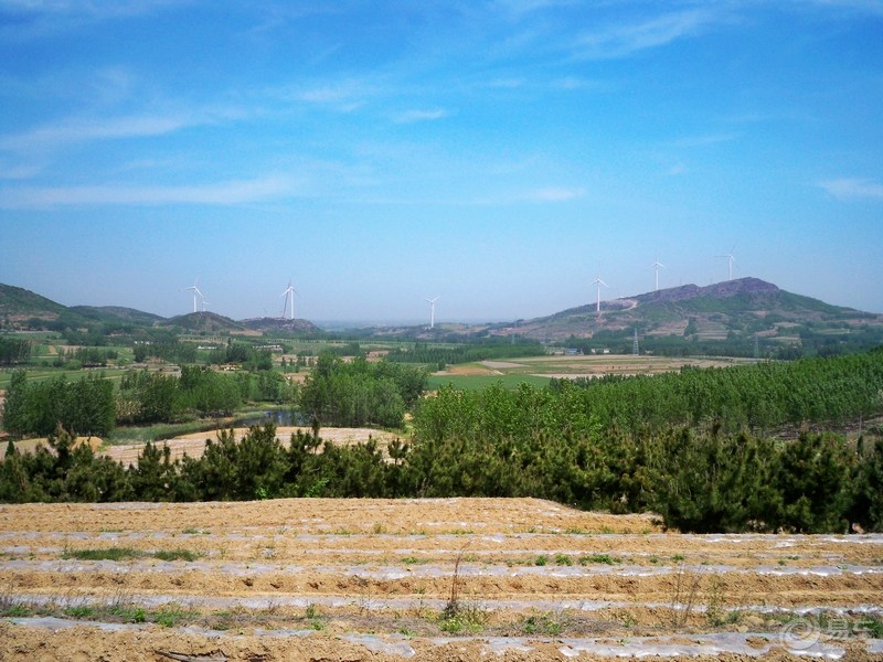 山東丘陵 山東丘陵