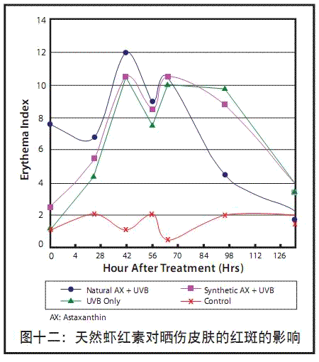 蝦青素防曬傷的影響 蝦青素防曬傷的影響