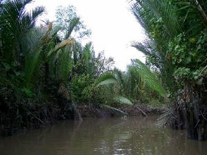 湄公河三角洲 湄公河三角洲
