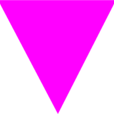 男同性戀(gay（同性戀）)