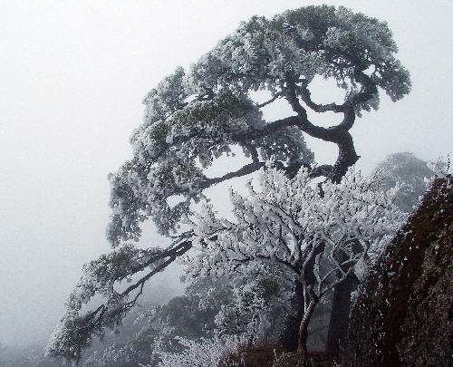 黃山 黃山