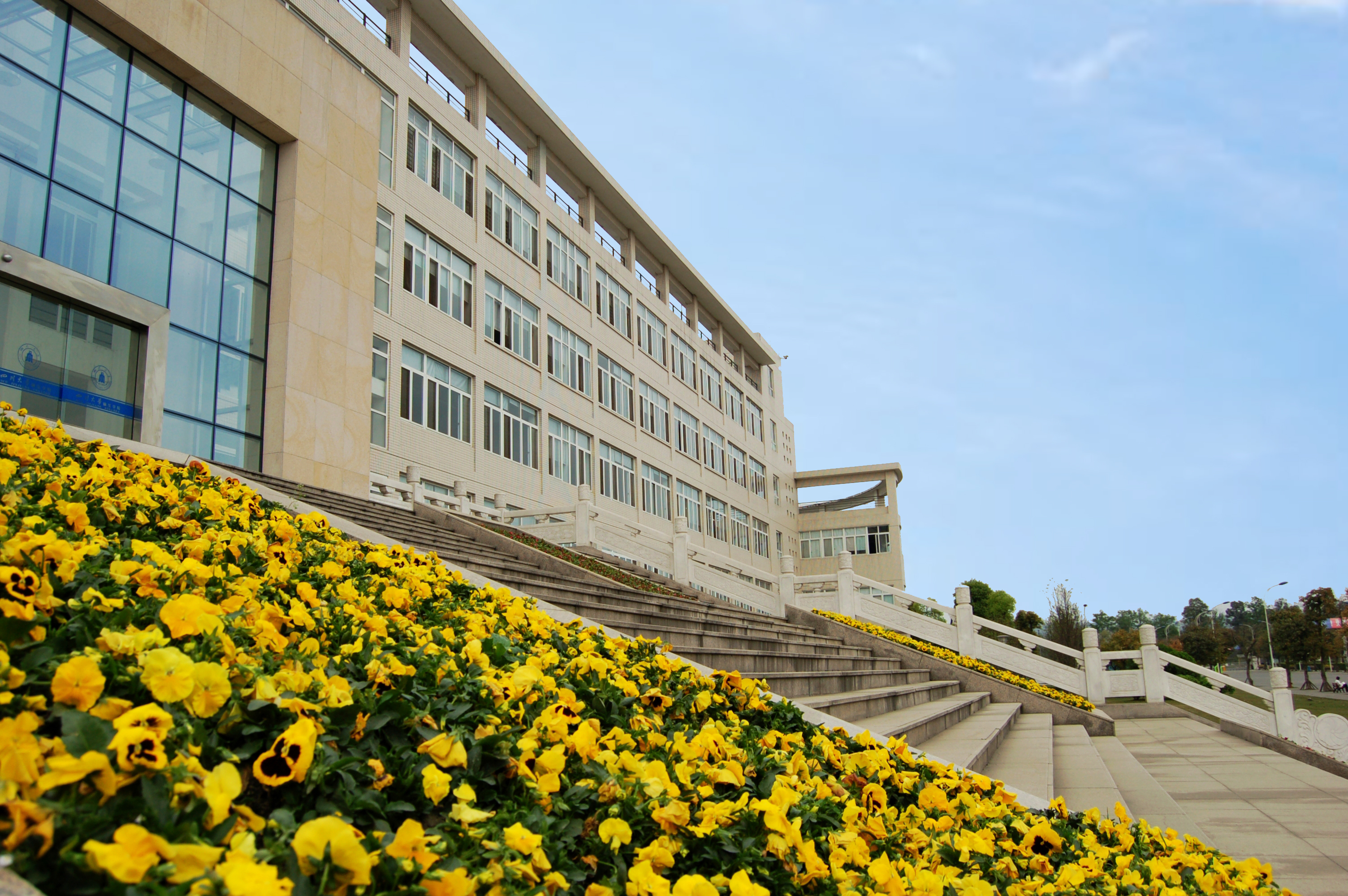 四川大學錦江學院 四川大學錦江學院
