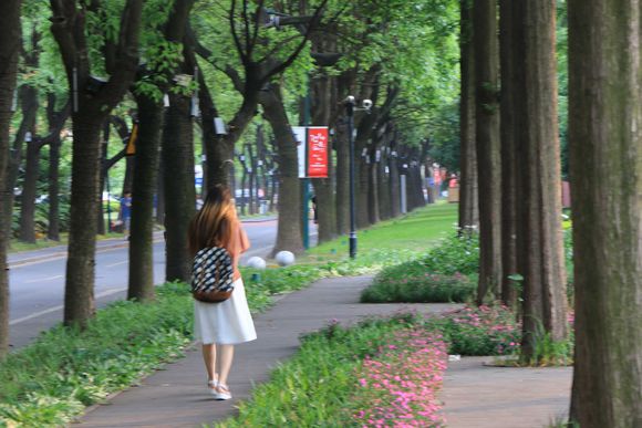 上海理工大學 上海理工大學