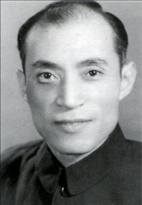 蘇里(中國內地導演)