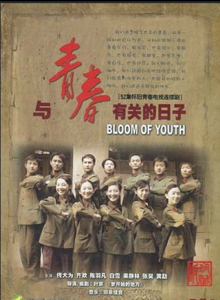 文章(中國內地男演員)