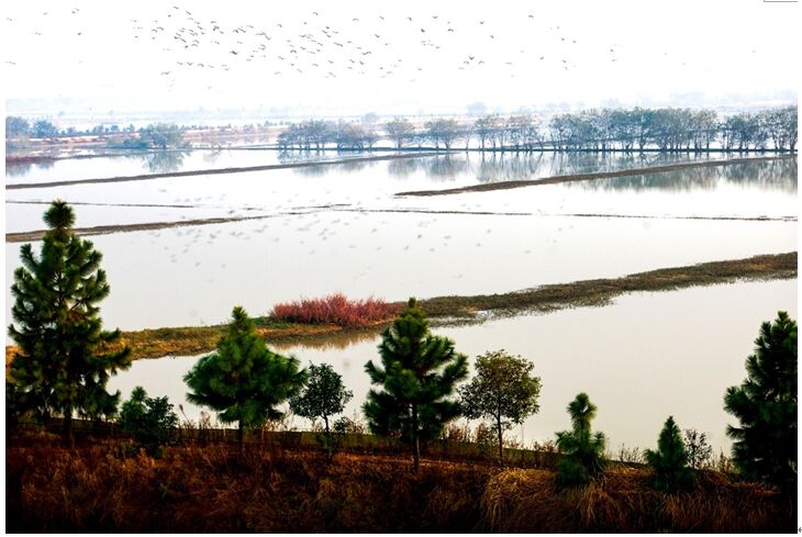 藥湖國家濕地公園 藥湖國家濕地公園